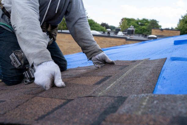 Best Chimney Flashing Repair  in Tangelo Park, FL